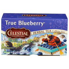 CELESTIAL SEASONINGS TEA GRN ZINGR TRUE BLUBR 20 BG - Pack of 6