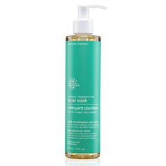 Earth Science Clarifying Facial Wash Fragrance Free, 8 oz
 | Pack of 3 - PlantX US