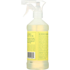 Rebel Green - Cleaner All Purpose Spray Peppermint 16 oz - Pack of 4