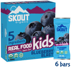 Skout Organic - Kids Bar Blueberry Blast, 6 Bars, 0.85oz Each | Pack of 6